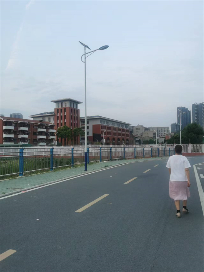 乡村道路路灯杆